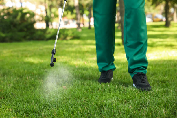 Best Residential Pest Control  in Lakeshire, MO