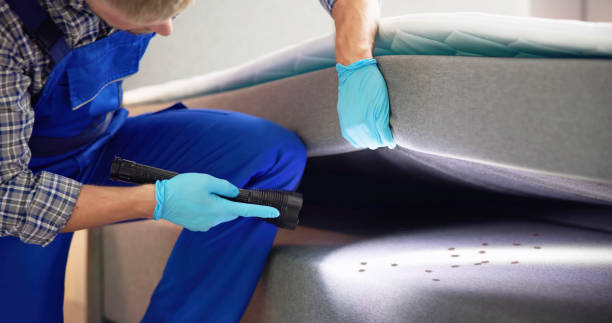 Best Best Pest Control Companies  in Lakeshire, MO