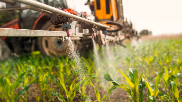 Best Best Pest Control Companies  in Lakeshire, MO